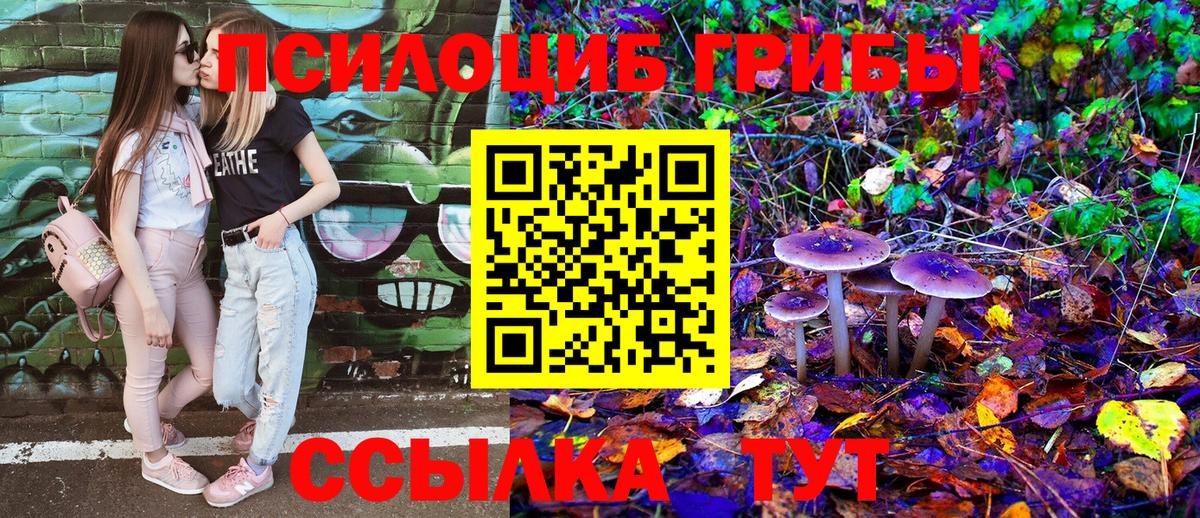 Саянск  Галлюциногенные грибы Magic Shrooms  Вход с VPN 