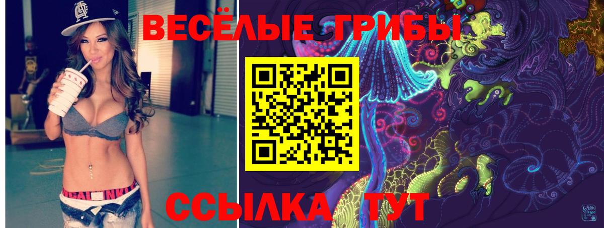 Псилоцибиновые грибы мухоморы Саянск